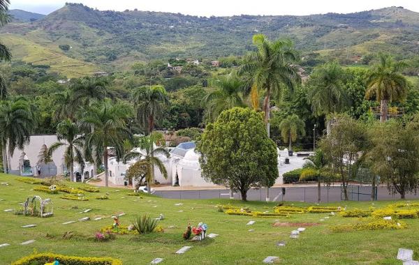 Tala controlada: Garantizando su seguridad y bienestar