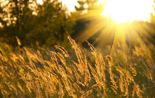 Esperanza un mensaje de amor